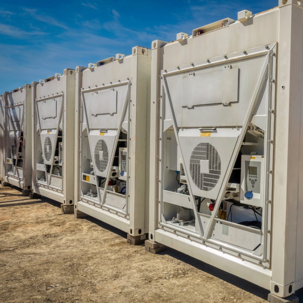 WhatsApp Image 2024-11-29 at 09.20.47 (2)