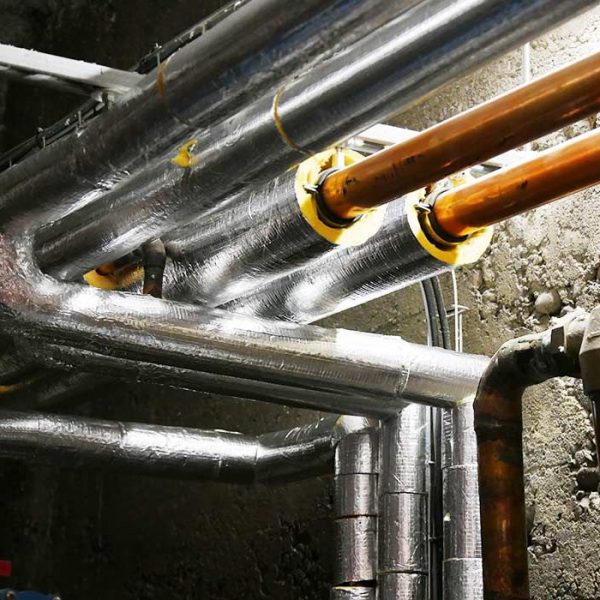 WhatsApp Image 2024-11-20 at 19.25.41