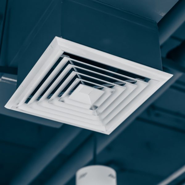 WhatsApp Image 2024-11-29 at 09.20.46 (4)